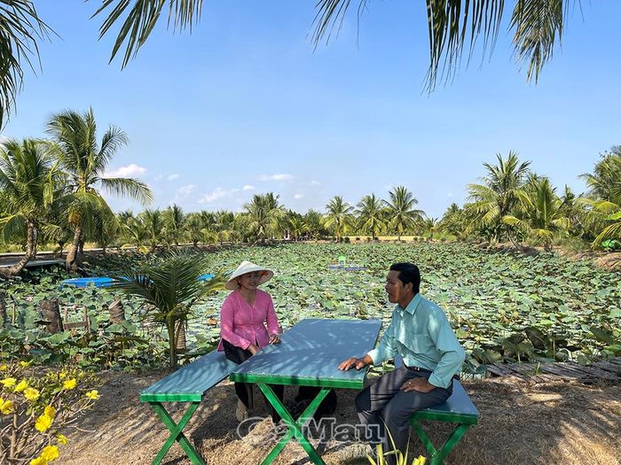 Mô hình ao sen của bà Trần Ngọc Diệp được chính quyền địa phương quan tâm, đồng hành, tạo điều kiện nhân rộng.