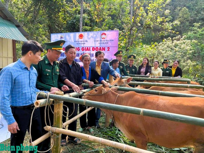 Đồn Biên phòng Tam Hợp phối hợp với chính quyền địa phương tặng bò giống cho các hộ nghèo trong Chương trình “Đồng hành cùng nông dân nghèo vượt khó”. Ảnh: Lê Thạch