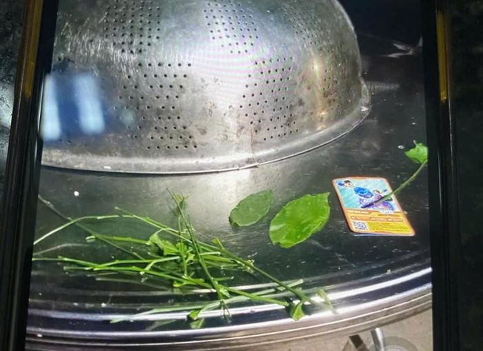 Kiểm tra số rau ngót hái trên rừng, phát hiện có lẫn lá ngón nguy hiểm (Ảnh do gia đình bệnh nhân cung cấp)