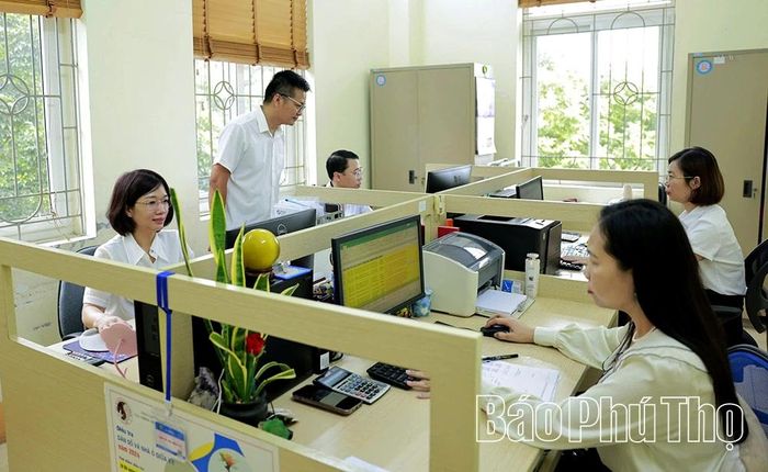 Cán bộ Thống kê Phú Thọ kiểm tra thông tin doanh nghiệp kê khai trên hệ thống.