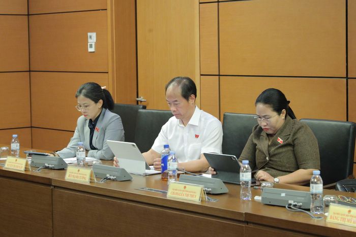 Các đại biểu dự phiên thảo luận Tổ 4