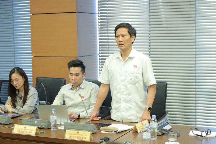 ĐBQH Vương Kim Ánh (Phú Thọ) phát biểu. Ảnh: Hồ Long