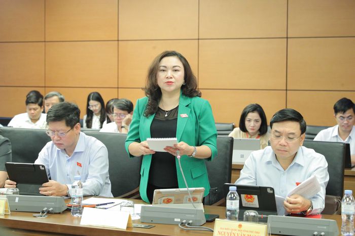 ĐBQH Đặng Bích Ngọc (Phú Thọ) phát biểu. Ảnh: Hồ Long