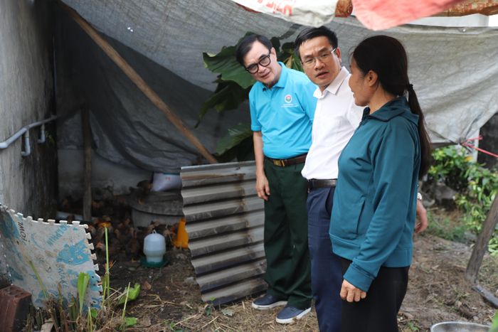 Bà Dương Thị Diên hy vọng đàn gà giống có thể cải thiện thu nhập của gia đình. Ảnh: Quỳnh Dương