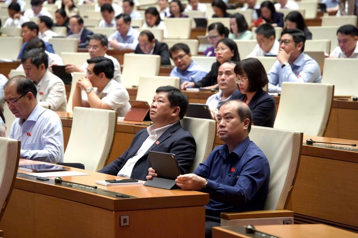 Các đại biểu dự phiên họp.