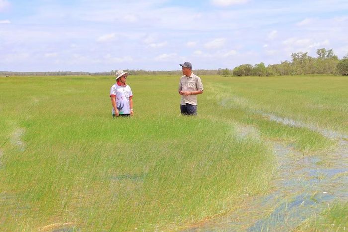Nhà khoa học cùng cán bộ, nhân viên Vườn quốc gia Tràm Chim tích cực vận động nhân dân cùng phục hồi tốt hệ sinh thái vùng đất ngập nước.