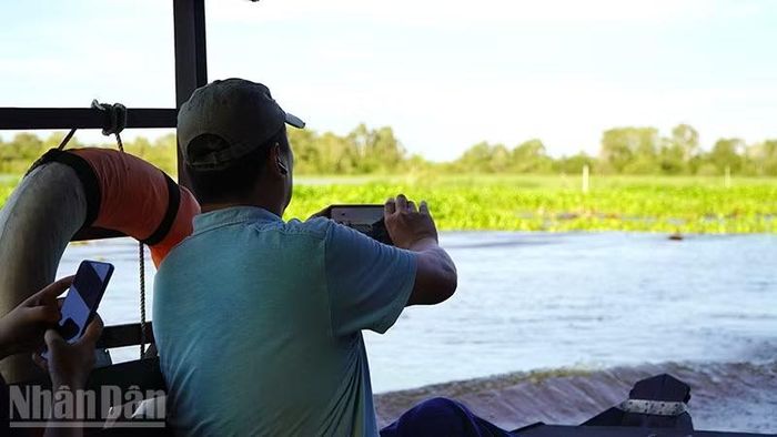 Du khách tham quan Vườn quốc gia Tràm Chim. (Ảnh: HỮU NGHĨA)