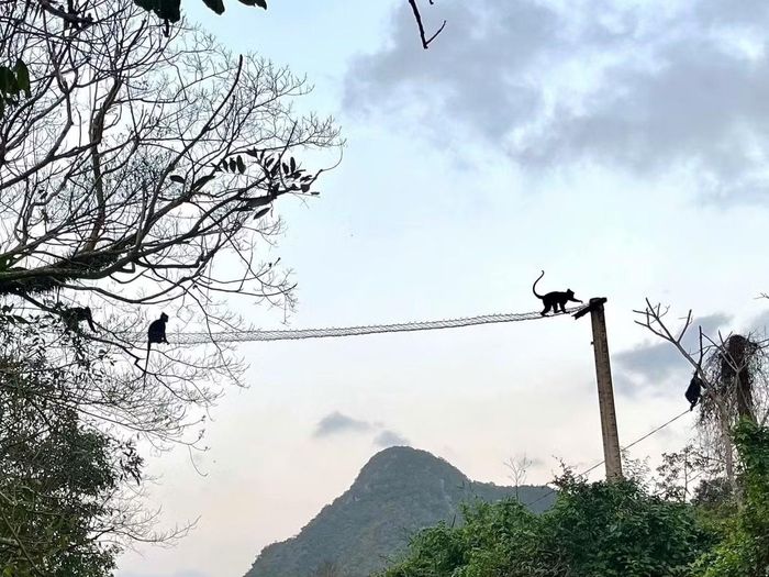 Chỉ hơn 40 triệu đồng, nhưng giá trị mà những cây cầu mang lại là vô cùng lớn.