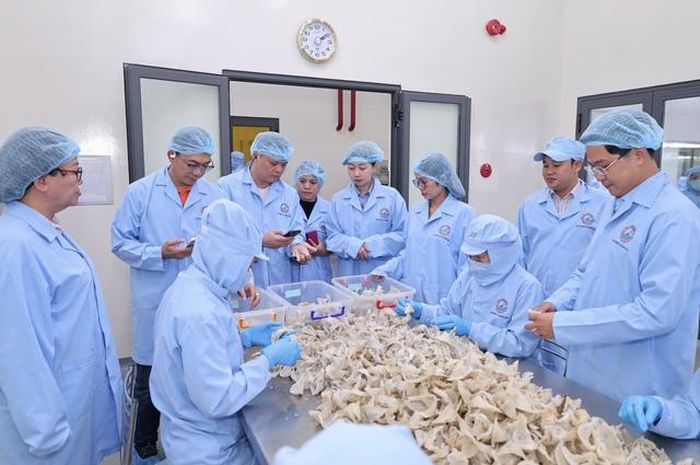 Năm 2025, Sanvinest ghi nhận doanh thu giảm nhưng lợi nhuận vẫn tăng nhờ tiết giảm chi phí và giảm dư nợ vay, qua đó duy trì nền tảng tài chính ổn định.