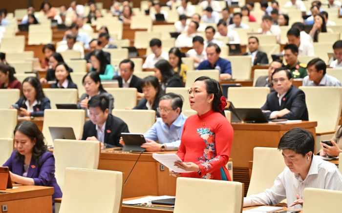 ĐBQH Lý Anh Thư (An Giang) phát biểu tại hội trường. Ảnh: Quang Khánh