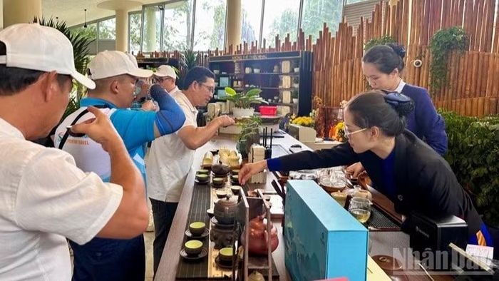 Du khách thưởng ngoạn hương trà trong một tour trải nghiệm vườn trà tại Lâm Đồng. (Ảnh: NGUYỄN TRUNG)