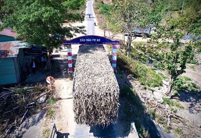  Cầu Đăk Pơ Kơ mới sau khi hoàn thành sẽ xóa điểm nghẽn giao thông, tạo điều kiện thuận lợi cho vận chuyển hàng hóa, góp phần giảm nghèo và nâng cao đời sống người dân khu vực, đặc biệt là xã Đăk Song và Sró. Ảnh: Minh Phương 