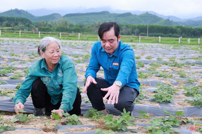 “Năm 2026, chúng tôi quyết tâm đổi mới trong sản xuất nông nghiệp bằng việc xây dựng một số mô hình liên kết với các cây trồng mới, trong đó có sâm Bố Chính. Trải qua những lo lắng ban đầu, đến nay cây sâm phát triển tốt, hoa nở rộ. Bà con phấn khởi chăm sóc cây trồng. Điều rất vui trên đồng ruộng hiện nay là khi hoa sâm nở, nhiều đoàn đến tham quan, chiêm ngưỡng vẻ đẹp của hoa, làm cho đồng ruộng trở nên náo nhiệt, đông vui. Chúng tôi đang tiếp tục chỉ đạo các ngành chuyên môn, tổ chức đoàn thể đồng hành, hỗ trợ người dân trong việc phát triển cây sâm để đạt hiệu quả như mong muốn”, ông Nguyễn Kim Tú – Bí thư Đảng ủy, Chủ tịch HĐND xã Hương Xuân chia sẻ.