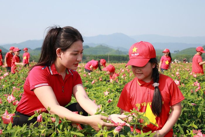 “Khi được đến cánh đồng sâm Bố Chính vào đúng dịp hoa nở rộ, em thấy thích thú và tự hào về quê hương của mình. Em mong sẽ có thêm nhiều bạn cũng sẽ được trải nghiệm vẻ đẹp này” - em Nguyễn Thùy Dương - lớp 5A3, Trường Tiểu học Hương Vĩnh chia sẻ.