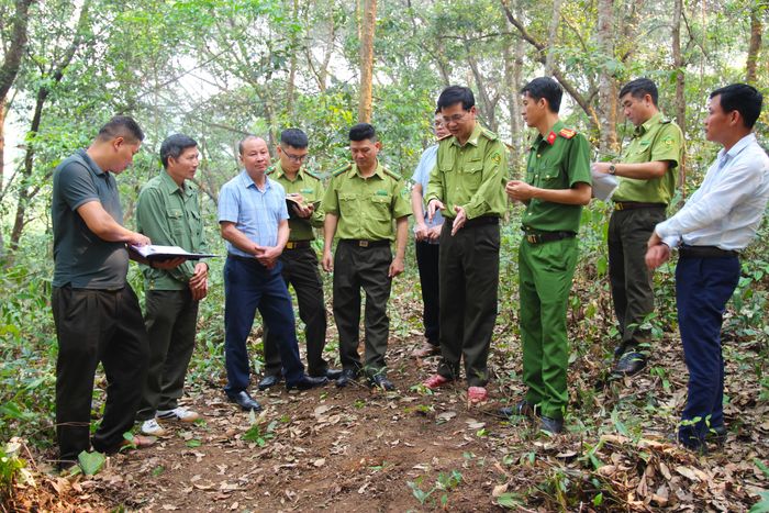 Đoàn kiểm tra liên ngành kiểm tra thực địa công tác phòng cháy chữa cháy rừng tại bản Bua, xã Mường Phăng.