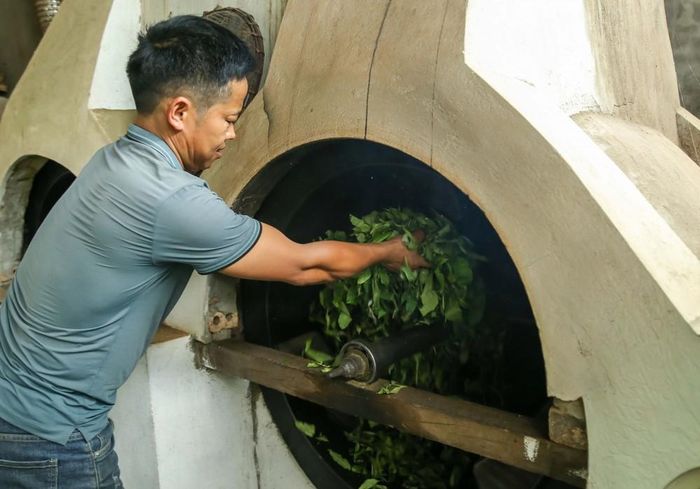 Những búp chè tươi sau khi hái được đưa vào máy để "diệt men"(sao chè). Quá trình này giúp chè giữ được màu xanh đặc trưng và loại bỏ vị hăng nồng của lá tươi. Ảnh: Quỳnh Anh/ TTXVN phát