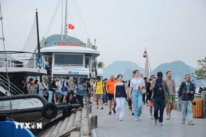 Quảng Ninh đón lượng lớn du khách tham quan, tìm hiểu vẻ đẹp tự nhiên của Vịnh Hạ Long. Ảnh: Hoàng Hiếu/TTXVN