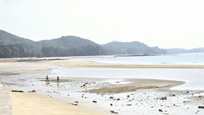 Xã đảo Cái Chiên đang kiên trì với triết lý phát triển du lịch "xanh và sạch", lấy việc bảo tồn thiên nhiên làm nền tảng để đánh thức tiềm năng vùng đất di sản.
