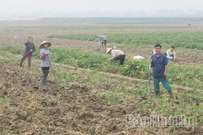 MTTQ xã vận động Nhân dân tích cực phát triển sản xuất, góp phần nâng cao thu nhập, ổn định đời sống và xây dựng nông thôn mới.