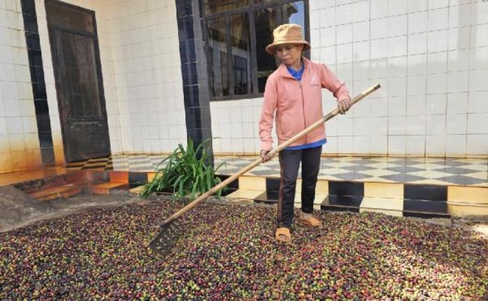 Người dân tại buôn Ea Mắp chăm lo lao động sản xuất, không còn nghe theo lời dụ dỗ của kẻ xấu.