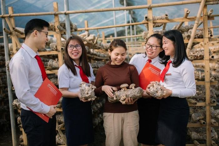 Ưu đãi lãi suất dành cho doanh nghiệp nhỏ và vừa lên tới 0,6%/năm.