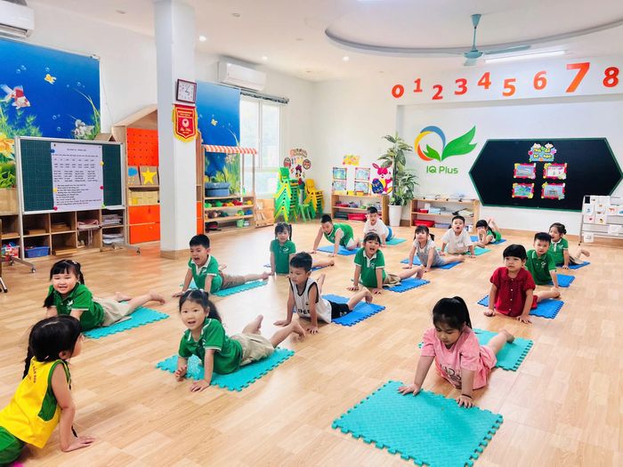 Buổi học Yoga dành cho trẻ tại cơ sở mầm non tư thục IQ Plus.