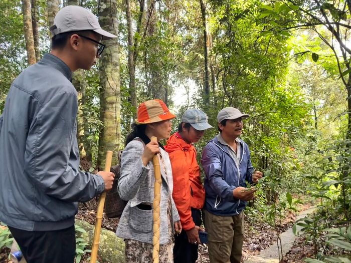 Với hệ sinh thái rừng nguyên sinh đặc trưng, nơi đây phù hợp với các hoạt động trekking