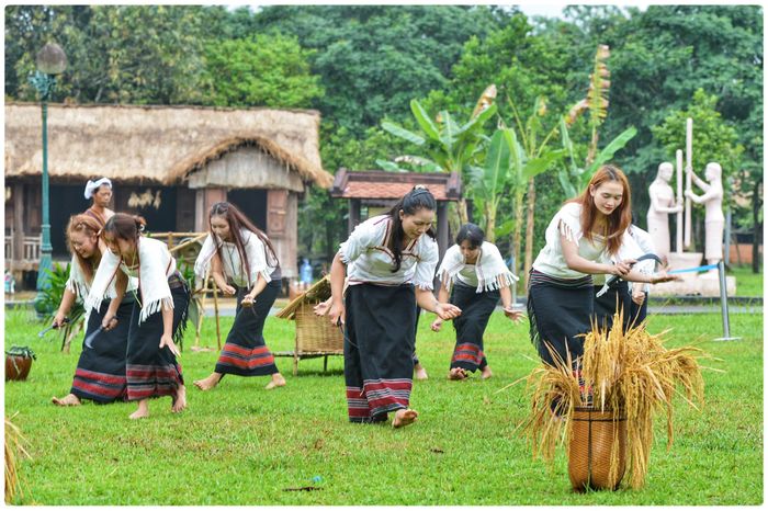 Lễ mừng lúa mới - một lễ hội truyền thống quan trọng, thể hiện lòng biết ơn đối với Yang (thần linh) đã phù hộ mùa màng bội thu.