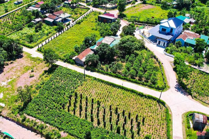 Xã Cẩm Hưng - quê hương Tổng Bí thư Hà Huy Tập. Ảnh: Hương Thành.