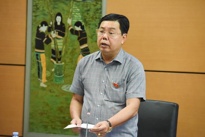 Đại biểu Quốc hội Hoàng Nam Hải phát biểu.