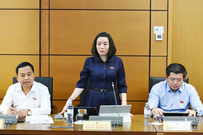 Đại biểu Quốc hội Nguyễn Minh Tâm tham gia thảo luận.