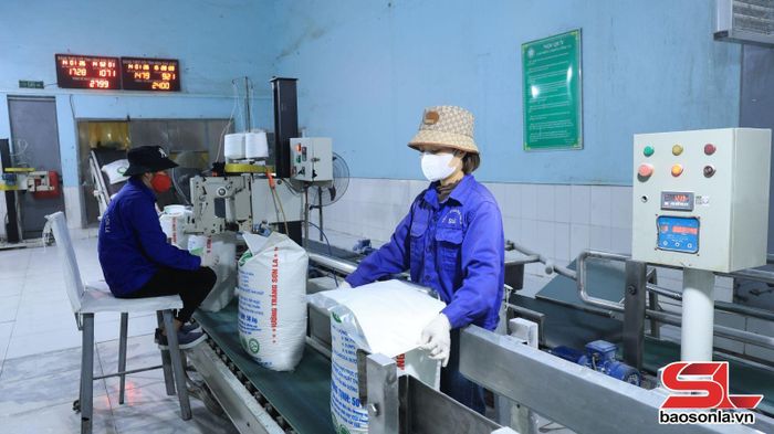 Dây chuyền nhà máy chế biến đường của Công ty CP Mía đường Sơn La.
