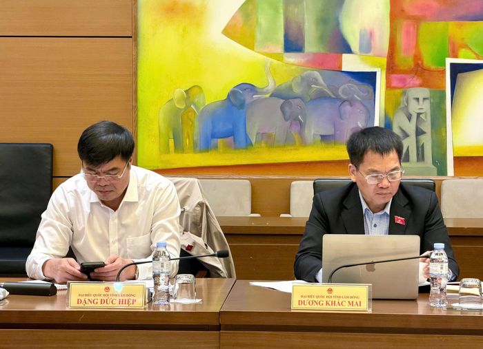 Các ĐBQH tỉnh Lâm Đồng dự họp Tổ