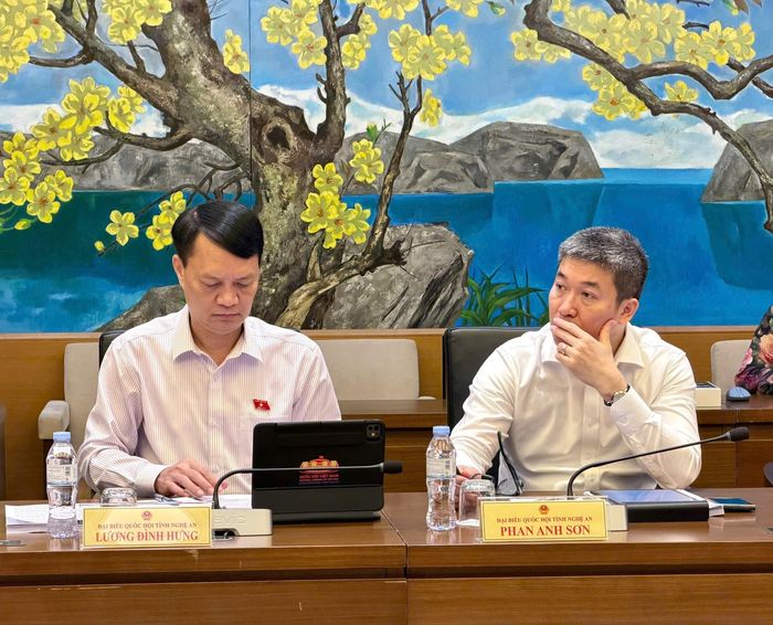Các ĐBQH tỉnh Nghệ An dự họp Tổ