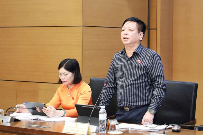 ĐBQH Nguyễn Trường Giang (Lâm Đồng) phát biểu.
