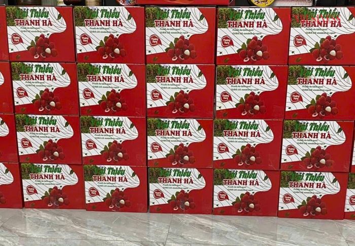 Một số HTX, đơn vị đã áp dụng chế biến sâu (sấy và đóng gói bao bì đẹp mắt) để nâng cao giá trị quả vải. 