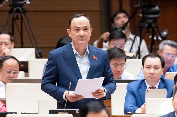 Đại biểu Nguyễn Ngọc Sơn. Ảnh: Quốc hội