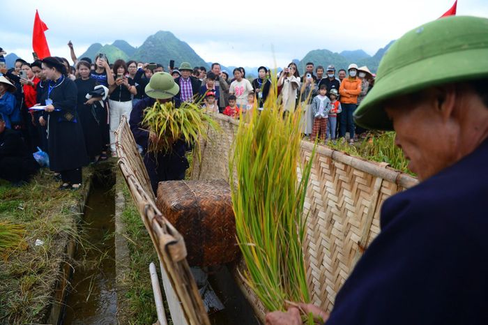 Cùng với thôn Lô Lô Chải của xã Lũng Cú, tỉnh Tuyên Quang, Làng du lịch cộng đồng Quỳnh Sơn, xã Bắc Sơn, tỉnh Lạng Sơn được Tổ chức Du lịch Liên hợp quốc công nhận là “Làng du lịch tốt nhất thế giới năm 2025” - Ảnh: Thúy Hồng