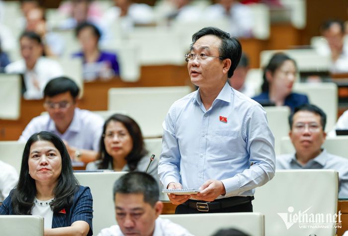 Đại biểu Hoàng Xuân Tân