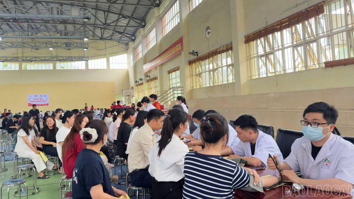 Đông đảo sinh viên tham gia hiến máu tình nguyện.