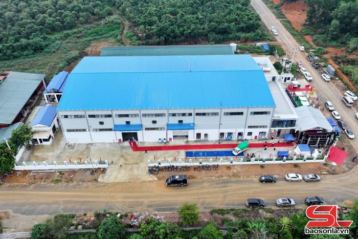 Dự án Nhà máy chế biến thực phẩm VFI Sơn La của Công ty CP Sản xuất thương mại đầu tư VFI.