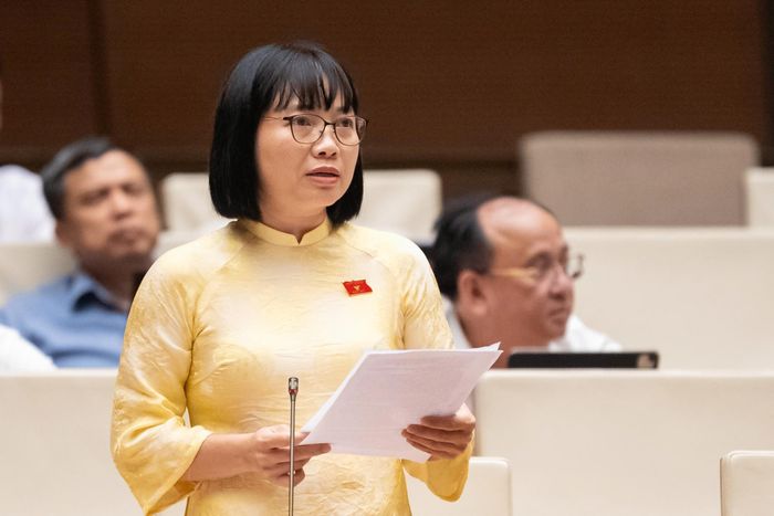 ĐB Nguyễn Thị Việt Nga (Hải Phòng). Ảnh VIẾT CHUNG 