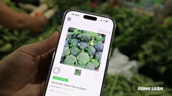 Từ chỗ phụ thuộc vào niềm tin và kinh nghiệm cá nhân, việc ứng dụng mã QR và hệ thống dữ liệu đồng bộ đang từng bước minh bạch hóa thông tin hàng hóa ngay tại quầy bán.