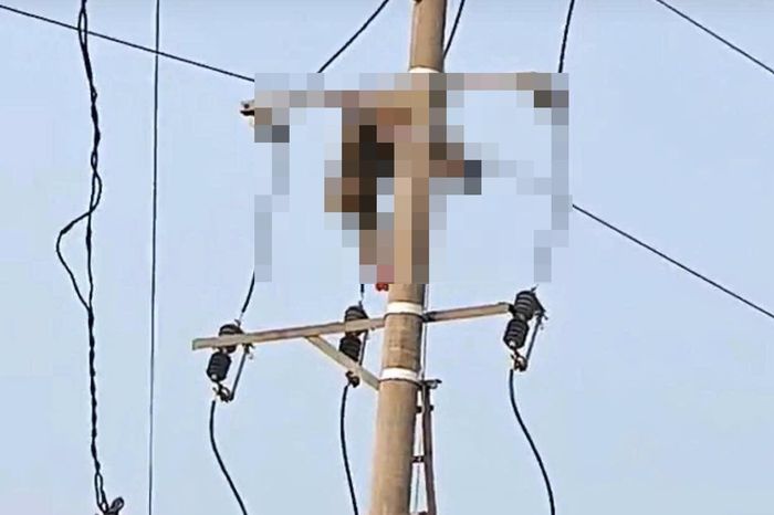Nam sinh bị điện giật tử vong trên cột điện. Ảnh: CTV