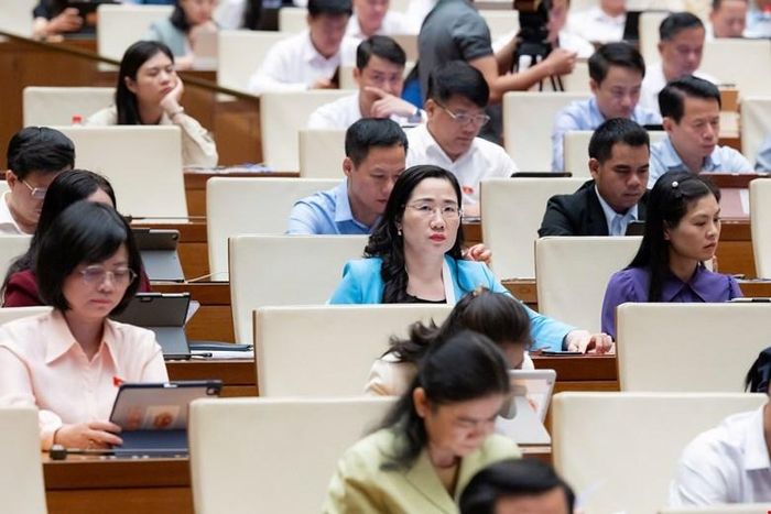  Các đại biểu tham dự phiên thảo luận.