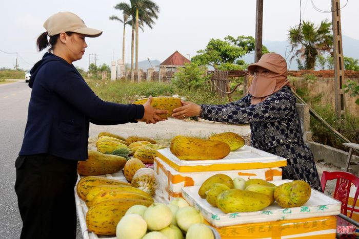 Sau thu hoạch, người dân lựa chọn những quả to, đẹp nhập sỉ cho thương lái và bày bán trực tiếp cho khách qua đường.