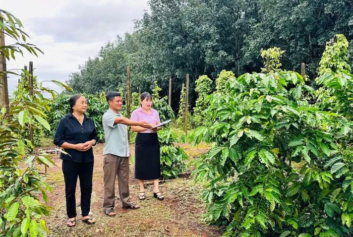 Nhờ nguồn vốn tín dụng chính sách, nhiều hộ dân trên địa bàn xã Chư Prông có điều kiện đầu tư máy móc, cây giống để phát triển kinh tế. Ảnh: D.Đ
