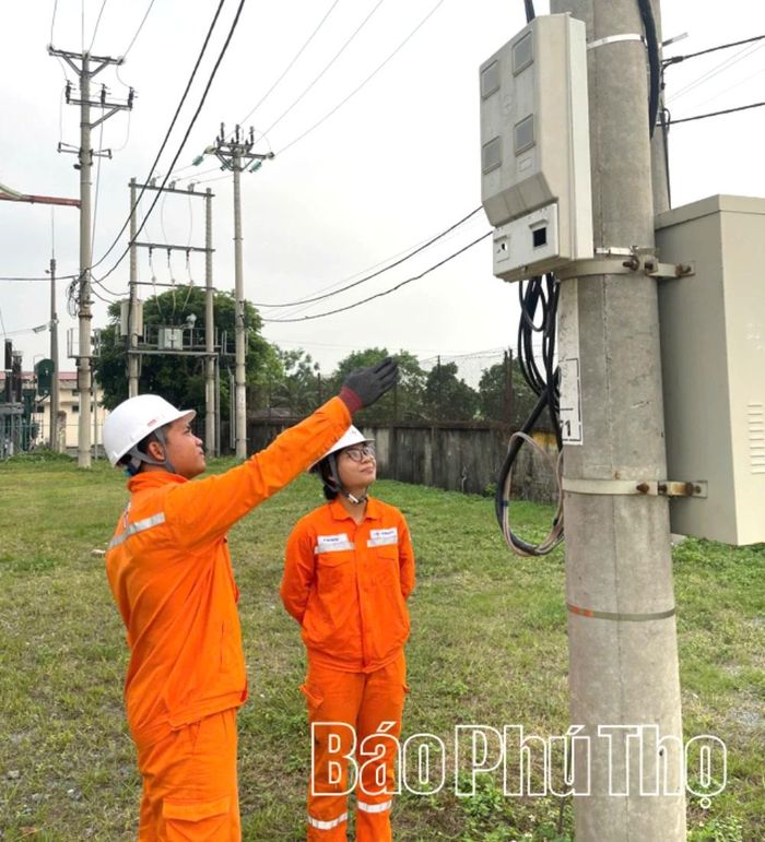 Công nhân Điện lực Phú An triển khai kiểm tra, khảo sát lưới điện.