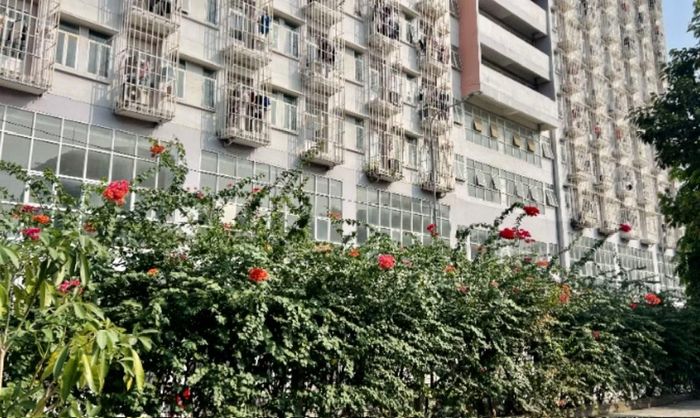 Khu vực phát hiện nữ sinh viên tử vong bất thường.