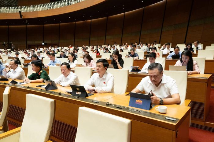 Các đại biểu Quốc hội tham dự phiên họp.